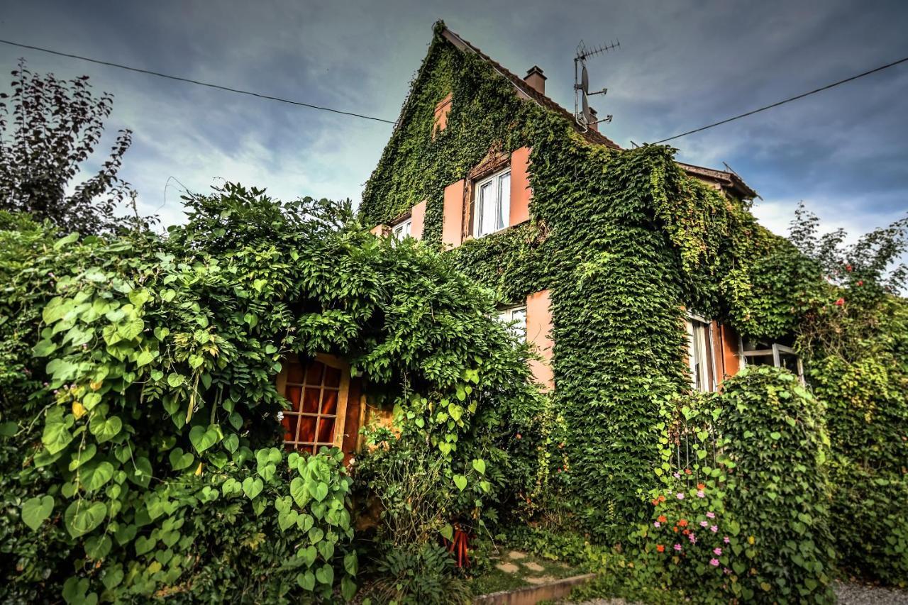 ❊ Au Murmure De L'Eau Au Coeur De L'Alsace ❊ Ebersheim Екстериор снимка